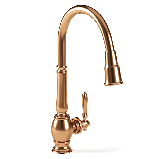 Tournant Semi-Pro Kitchen Faucet 3D model image 4