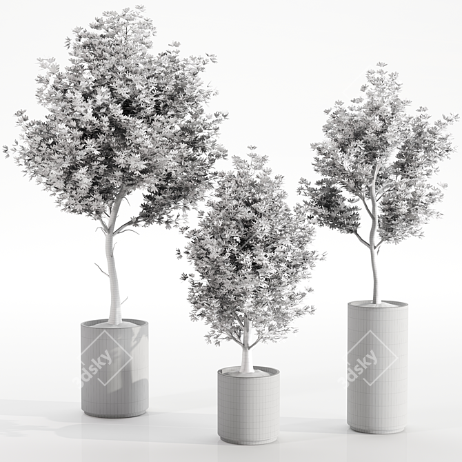 Concrete Pot Set with Indoor Plants 3D model image 4