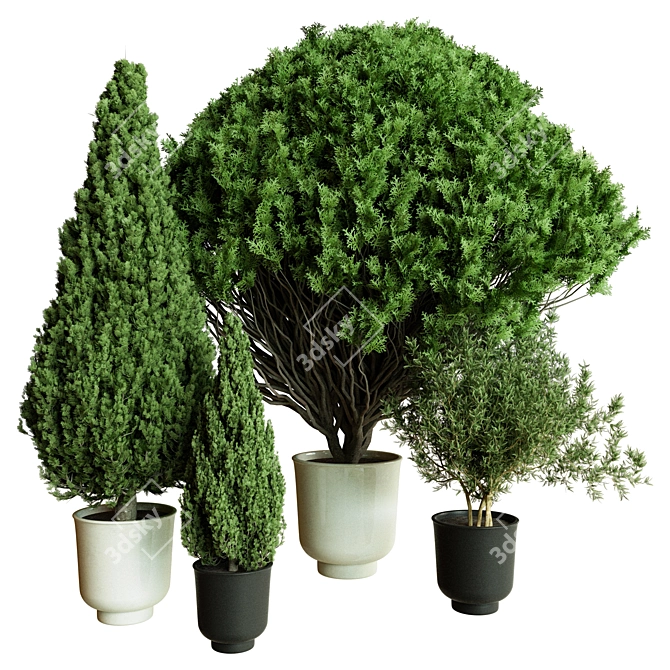 Outdoor Plant 3D Model Vol.50 3D model image 1