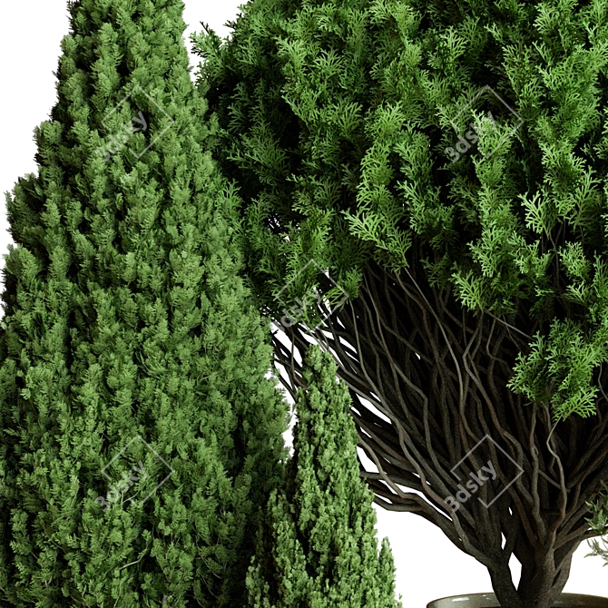 Outdoor Plant 3D Model Vol.50 3D model image 2