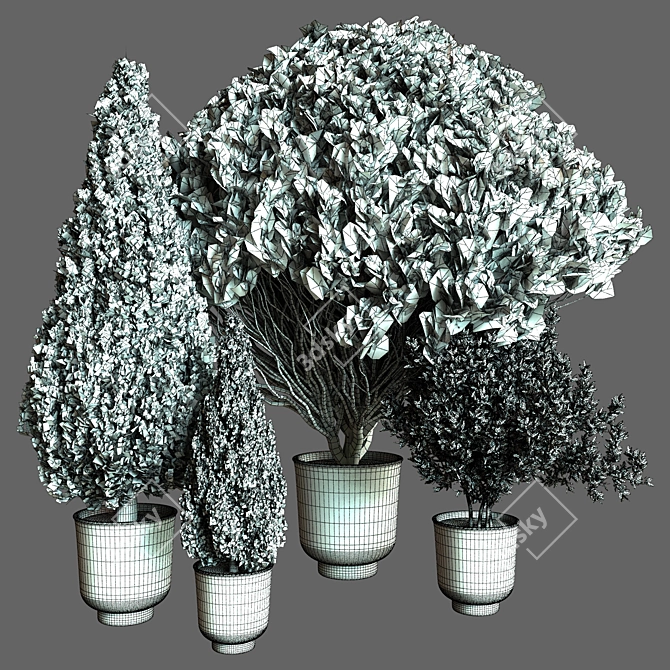 Outdoor Plant 3D Model Vol.50 3D model image 4