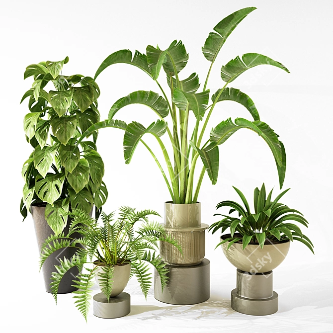 Modern Indoor Plant Collection Set 3D model image 1