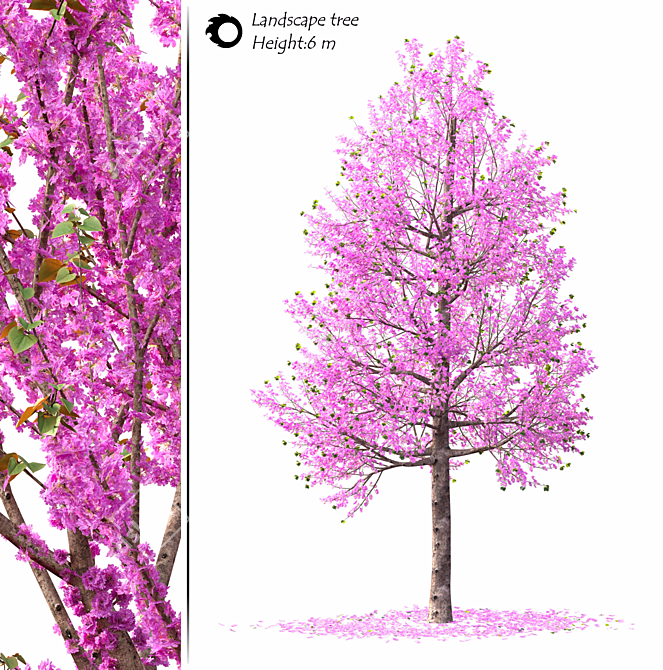 Corona Landscape Tree Model in 3Ds Max 3D model image 1