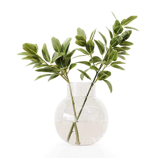 Premium Indoor Plant 3D Model 3D model image 6