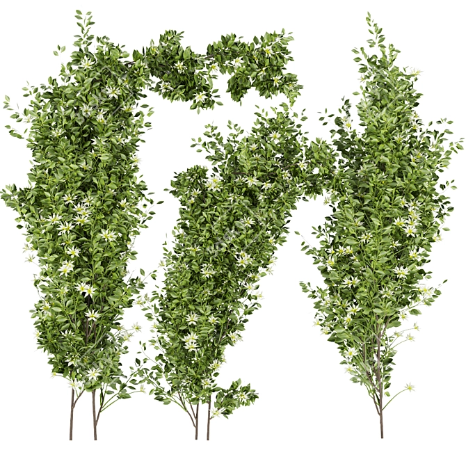 Premium Plant Collection for Outdoor Landscaping 3D model image 1