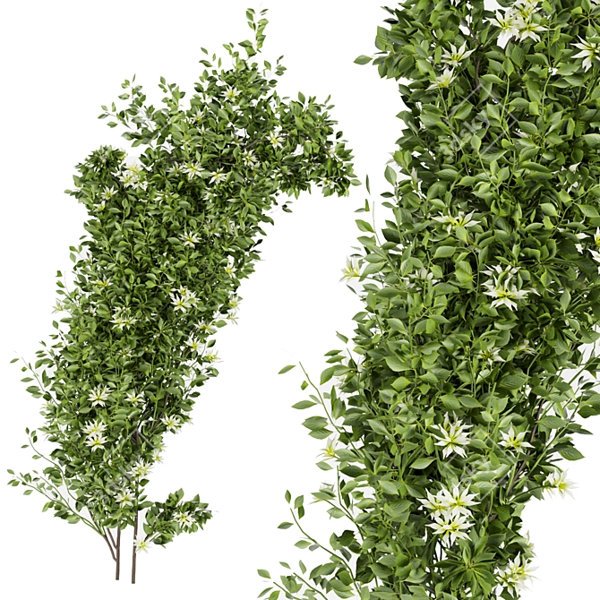 Premium Plant Collection for Outdoor Landscaping 3D model image 4