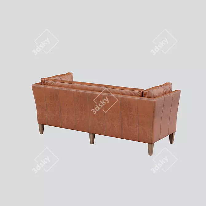 Premium Leather Straight Sofa Div-703 3D model image 2