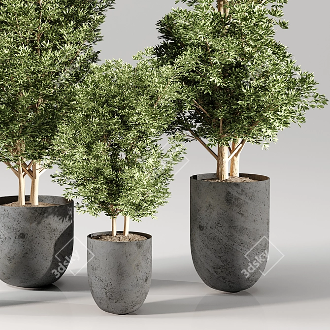 Modern Indoor Plants Collection Set 3D model image 2