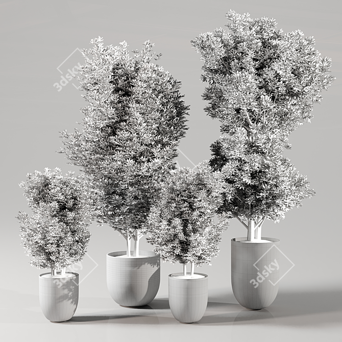 Modern Indoor Plants Collection Set 3D model image 4