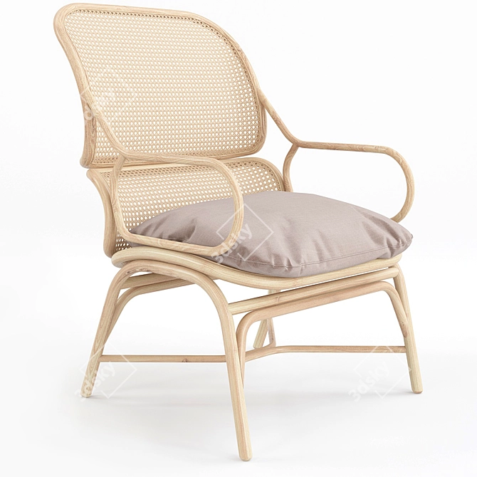 Expormim Frames Lounge Chair | 3ds Max 2014, V-Ray Optimized 3D model image 3