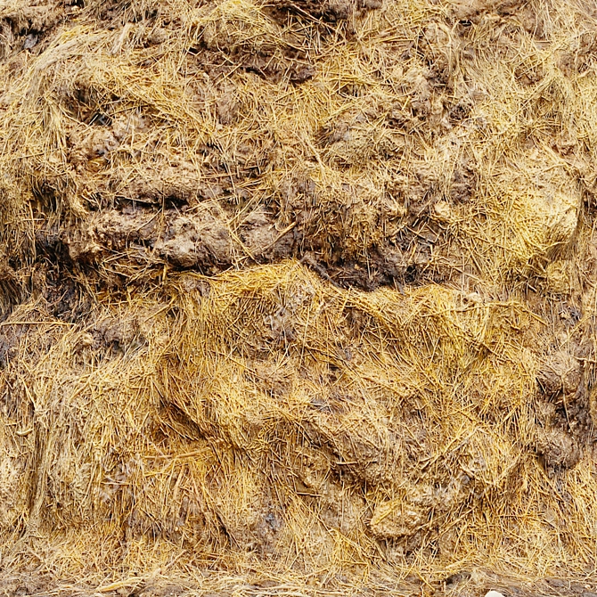 Manure Hay 3D Scan 3D model image 3