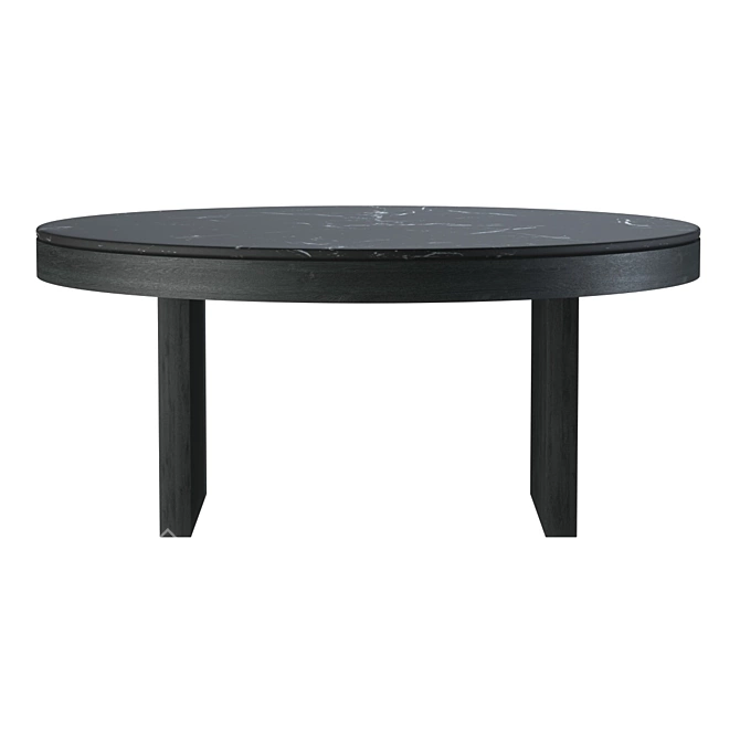 Designer Collaboration Marble Coffee Table 3D model image 4