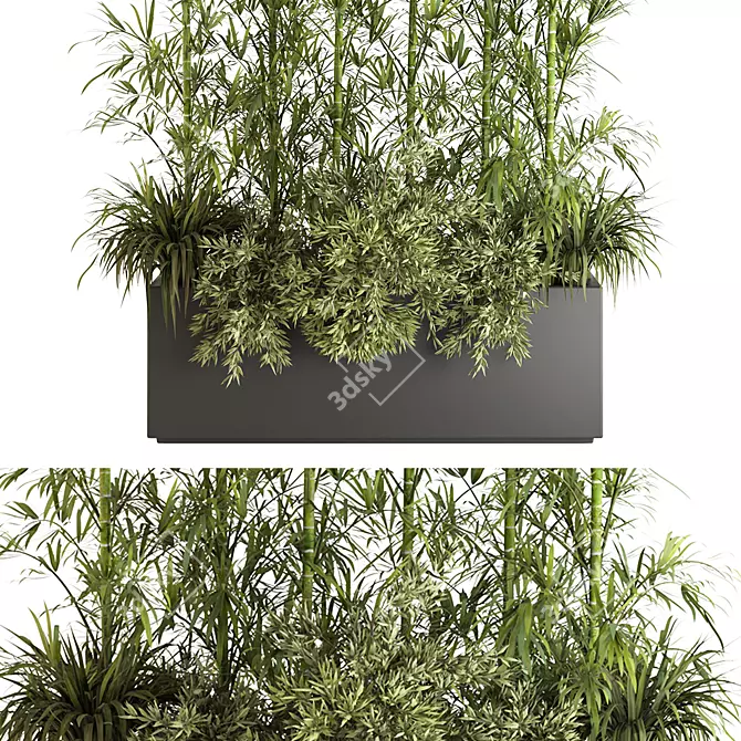 Bamboo Indoor Plant Set VI 3D model image 2