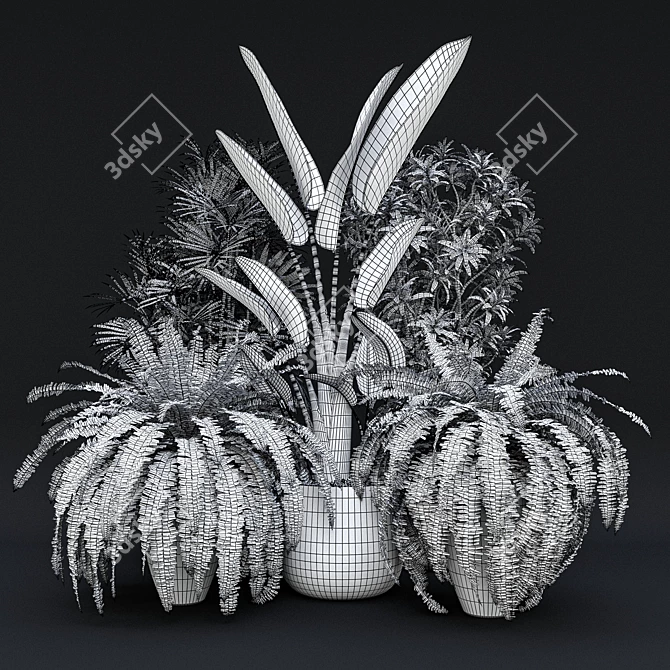 Tropical Indoor Plant Set 9 3D model image 6