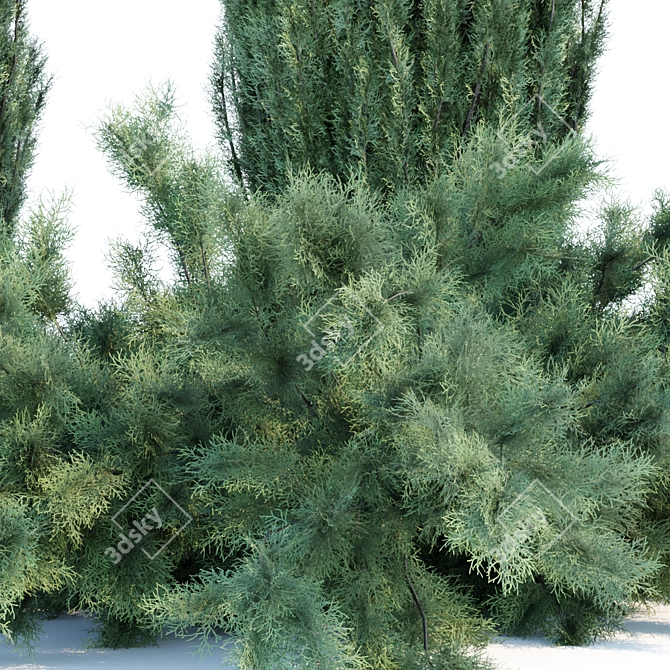 JuniPBR Outdoor Collection Vol. 99 3D model image 2