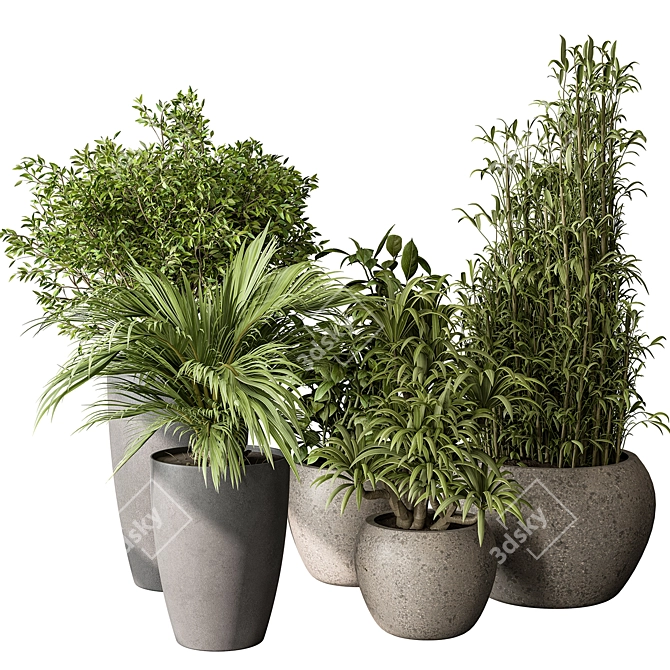 Green Oasis Duo in Pot 3D model image 1