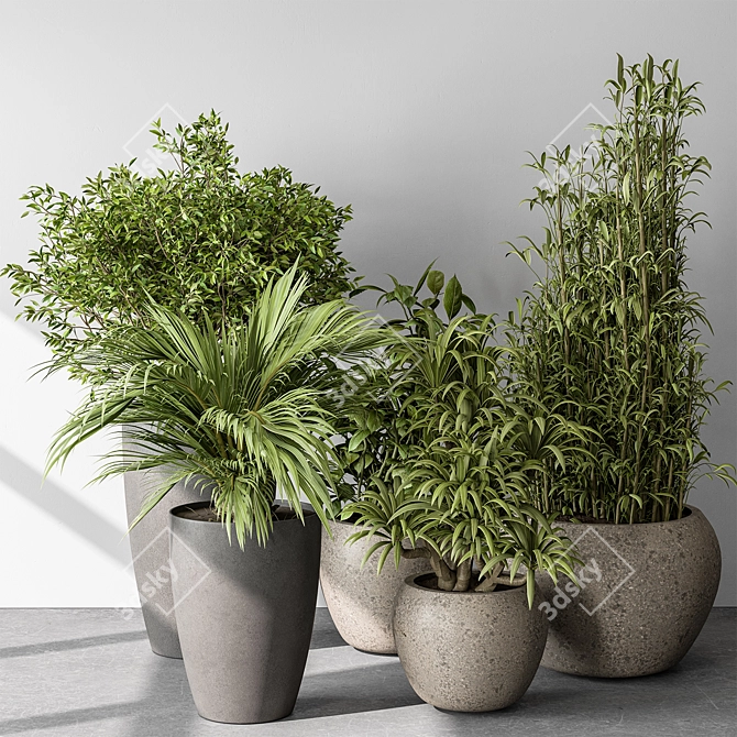 Green Oasis Duo in Pot 3D model image 2