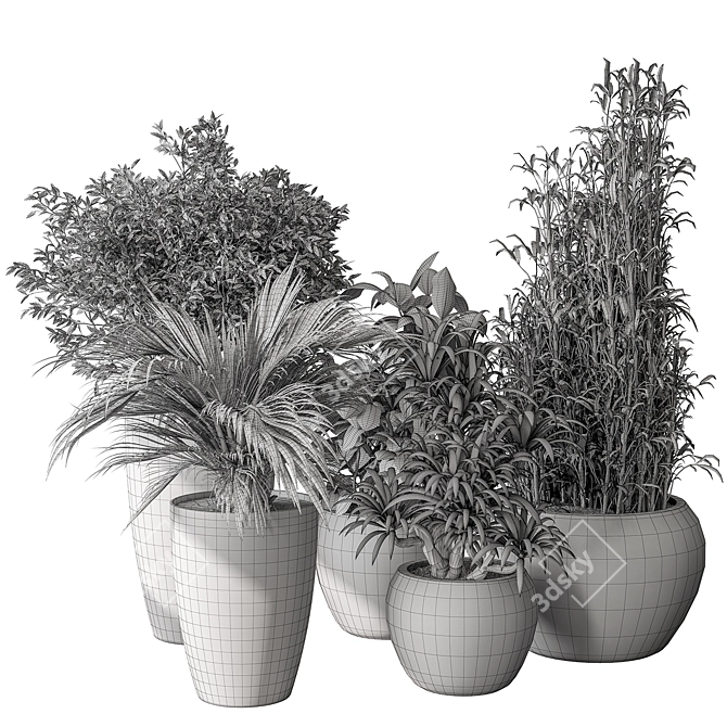 Green Oasis Duo in Pot 3D model image 5