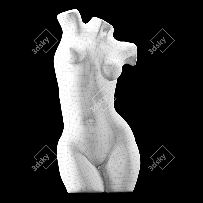 Sculpted Female Body 3D Model 3D model image 4