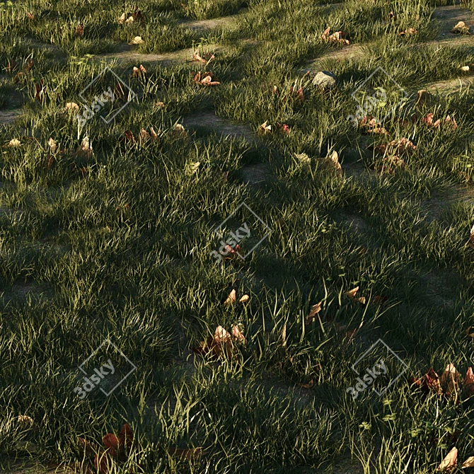 Meadow CoronaScatter Settings Render 3D model image 2