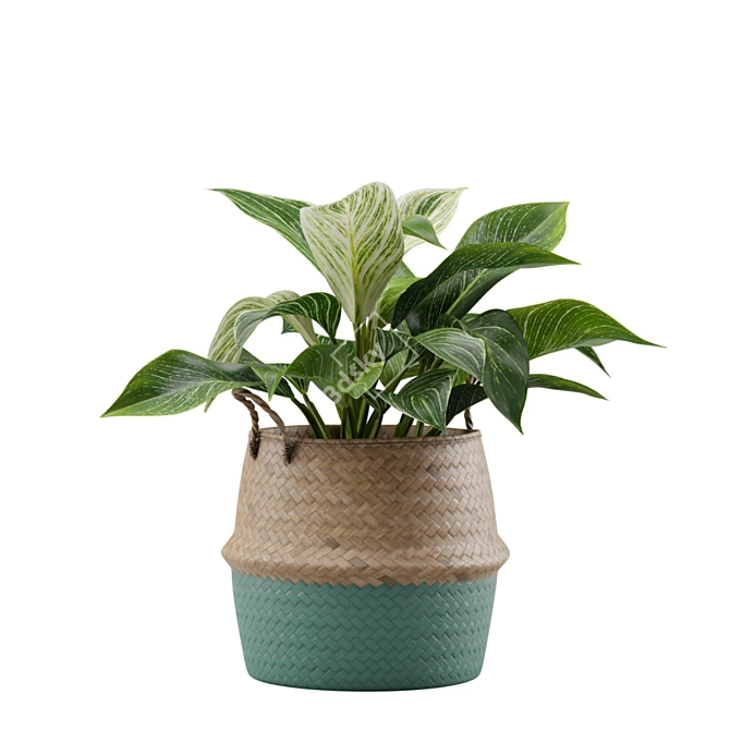 Exotic Indoor Plant Collection Pack 3D model image 5