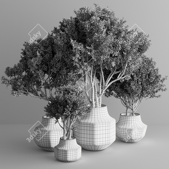 Stylish Indoor Plant Model 2015 3D model image 3