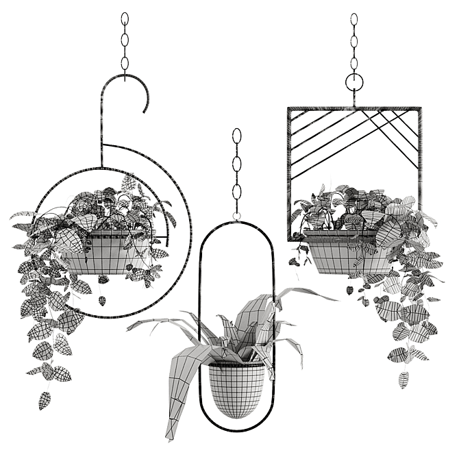 PBR Hanging Money Fern Plants 3D model image 3