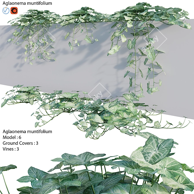 Indoor Plant 3D Model Archive 3D model image 1