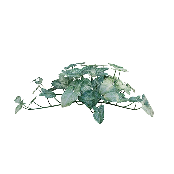 Indoor Plant 3D Model Archive 3D model image 4