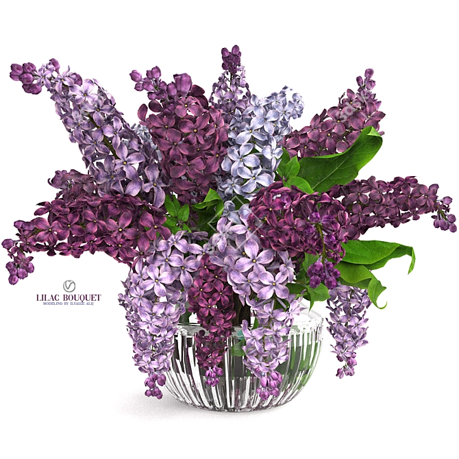 Lavender Beauty 3D Model  3D model image 1