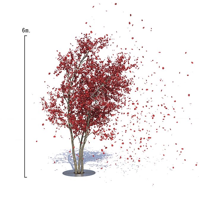 Autumn Red Urban Maple Tree 3D model image 1