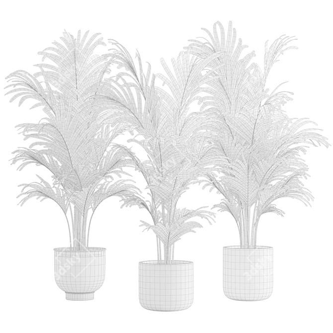 Exotic Areca Palm Set 3D model image 3