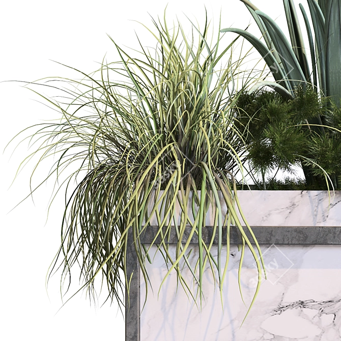 Modern Interior Plant Box Set 3D model image 2