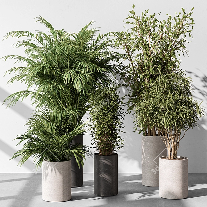 Indoor Plant Set: Tree & Pot 3D model image 2