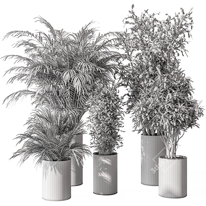 Indoor Plant Set: Tree & Pot 3D model image 5