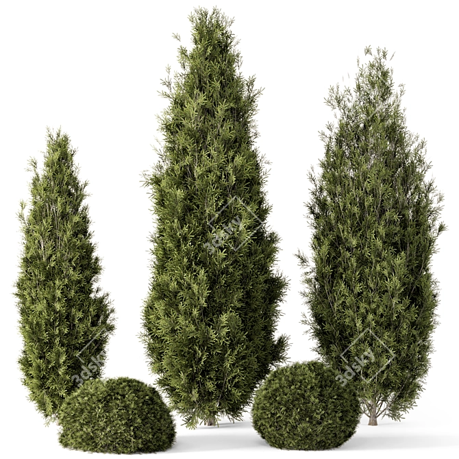 Outdoor Bush Set 697, V-Ray/Corona 3D model image 1