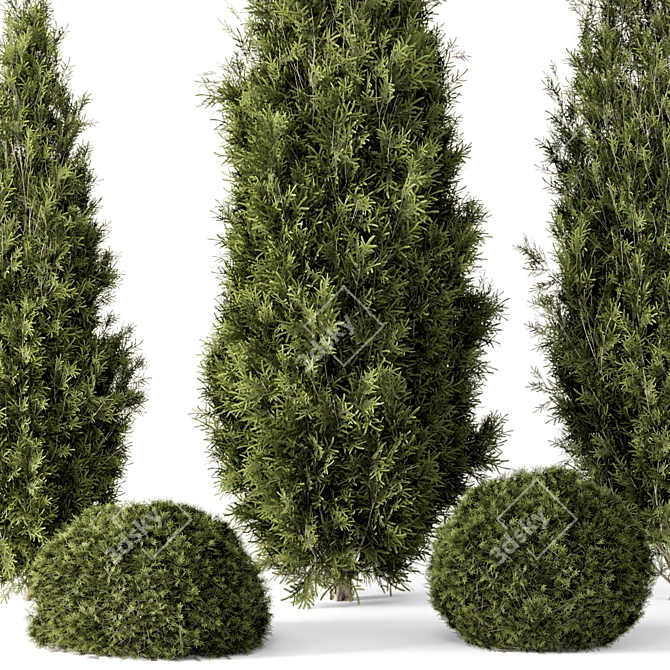 Outdoor Bush Set 697, V-Ray/Corona 3D model image 2