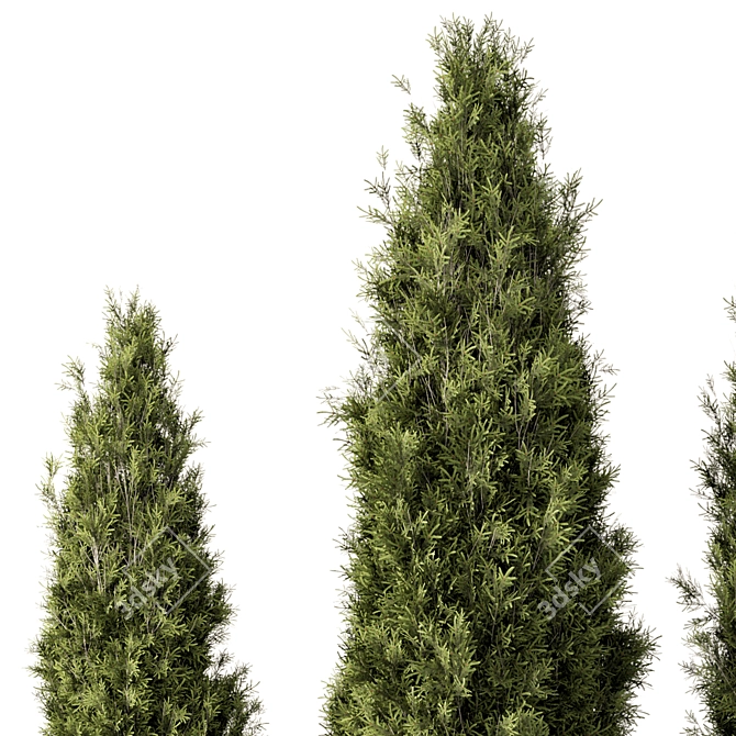 Outdoor Bush Set 697, V-Ray/Corona 3D model image 3