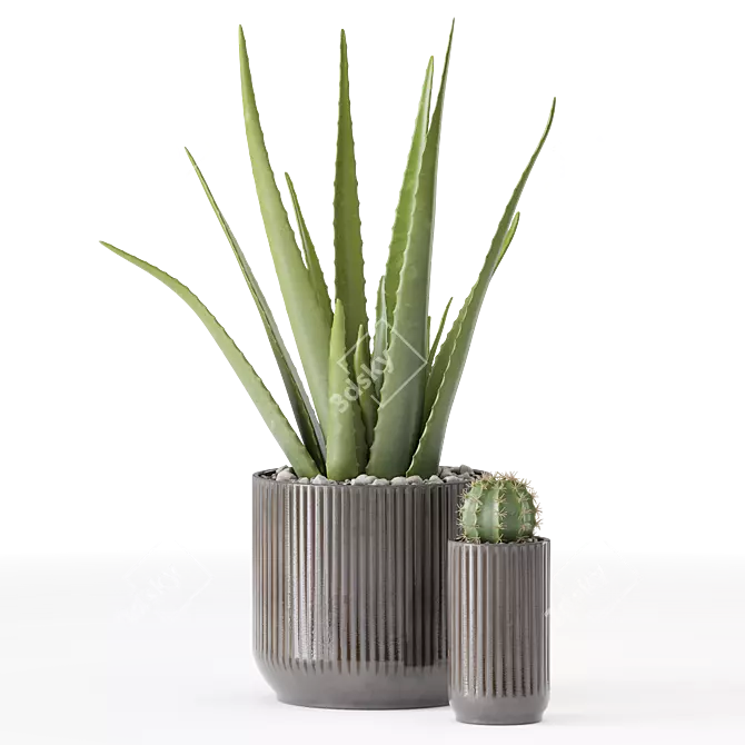 Decor Plants Set in Pots 3D model image 2