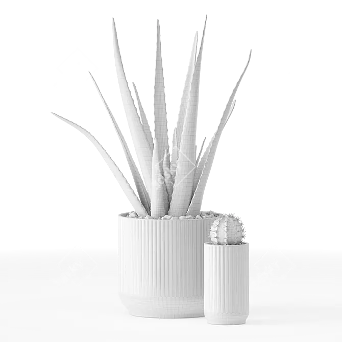 Decor Plants Set in Pots 3D model image 4