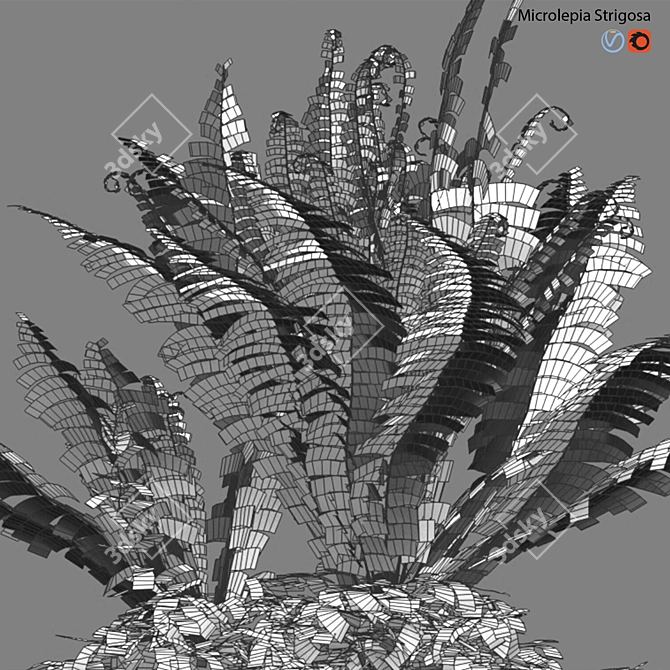 Fern 3D Models Bundle Pack 3D model image 3