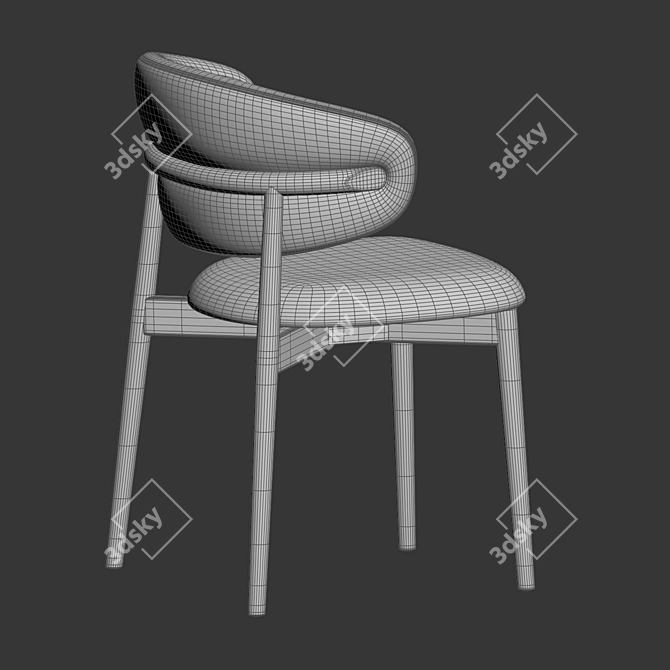 Modern Wood Dining Chair Oleandro 3D model image 3
