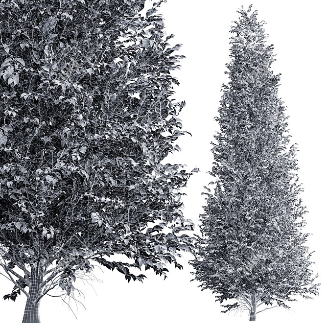 High Detail Carpinus Betulus Tree 3D model image 4