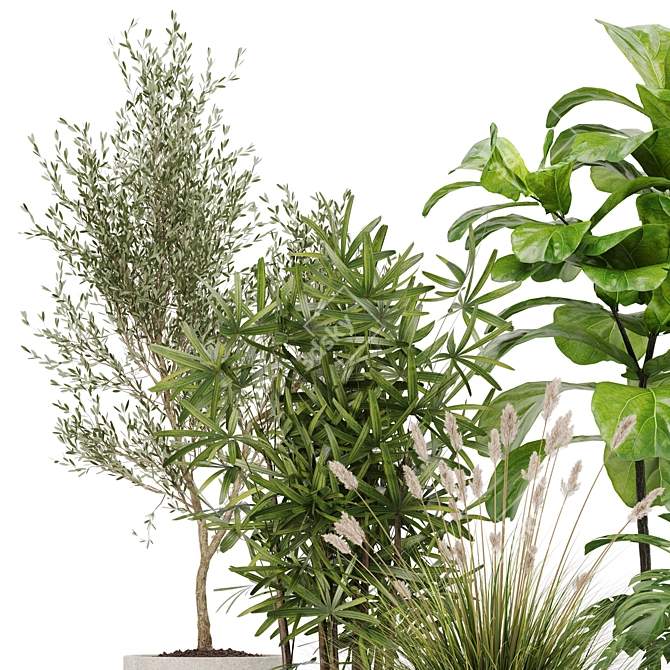 Modern Indoor Plant Set 32 3D model image 3