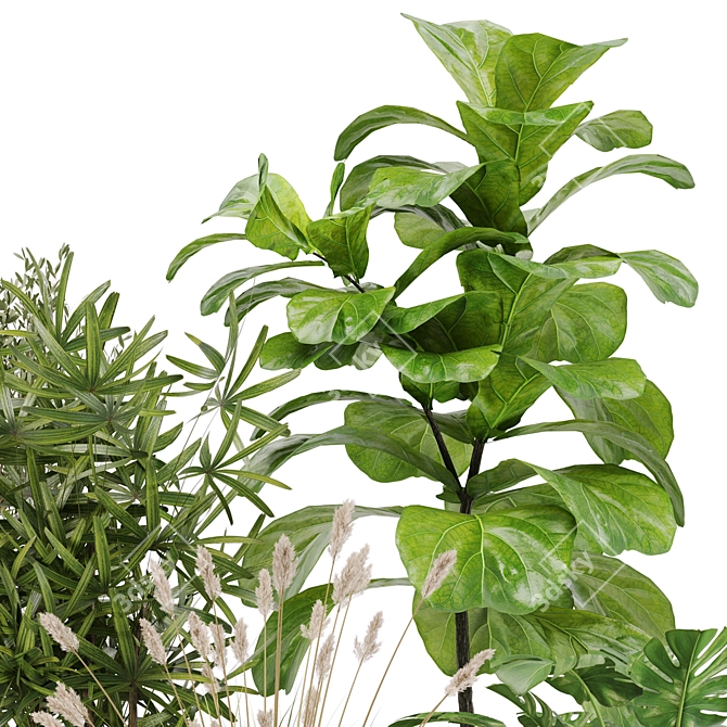 Modern Indoor Plant Set 32 3D model image 6