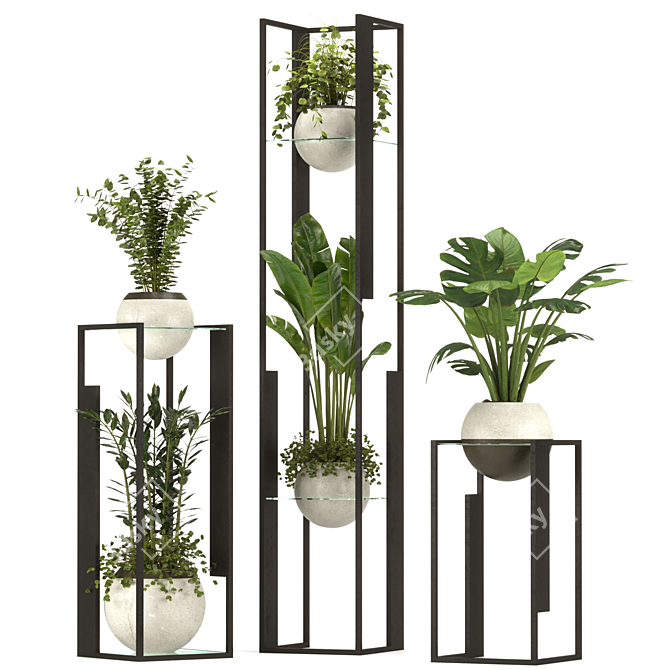 Modern Indoor Plant Collection 3D 3D model image 1