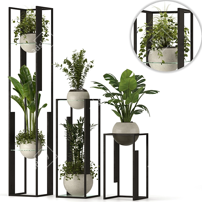 Modern Indoor Plant Collection 3D 3D model image 3