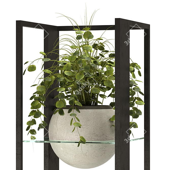 Modern Indoor Plant Collection 3D 3D model image 4