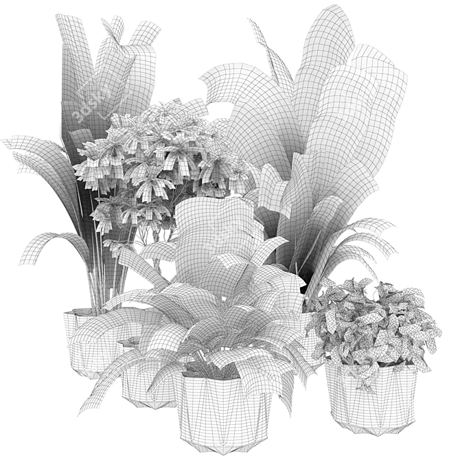 Quality Indoor Plant Collection - Monstera, Peace Lily, Pothos 3D model image 6