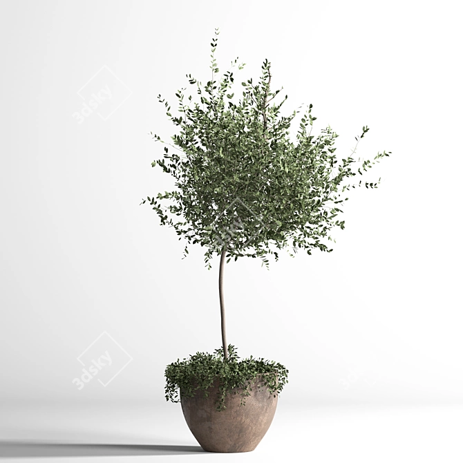 3D Indoor Plant Model Kit 3D model image 2